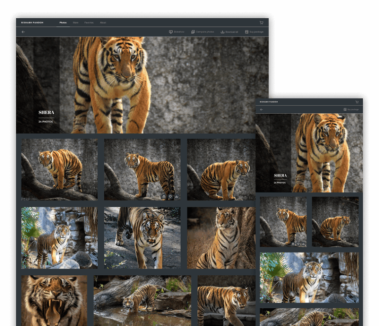 free crm for photographer